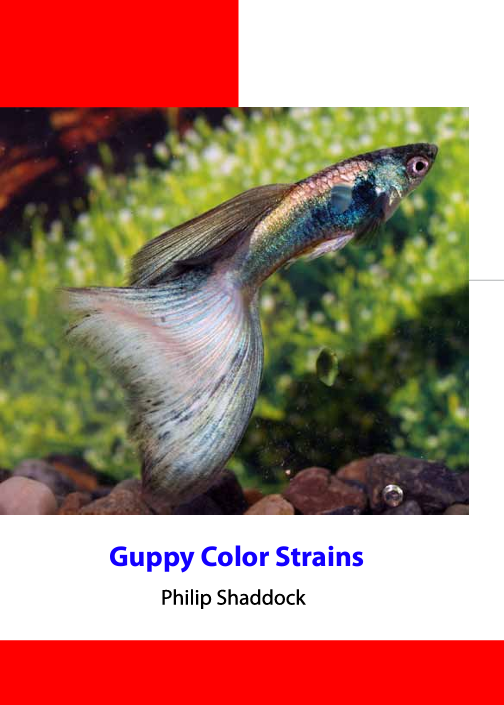 Guppy Color Strains – Philip Shaddock [Inglês]